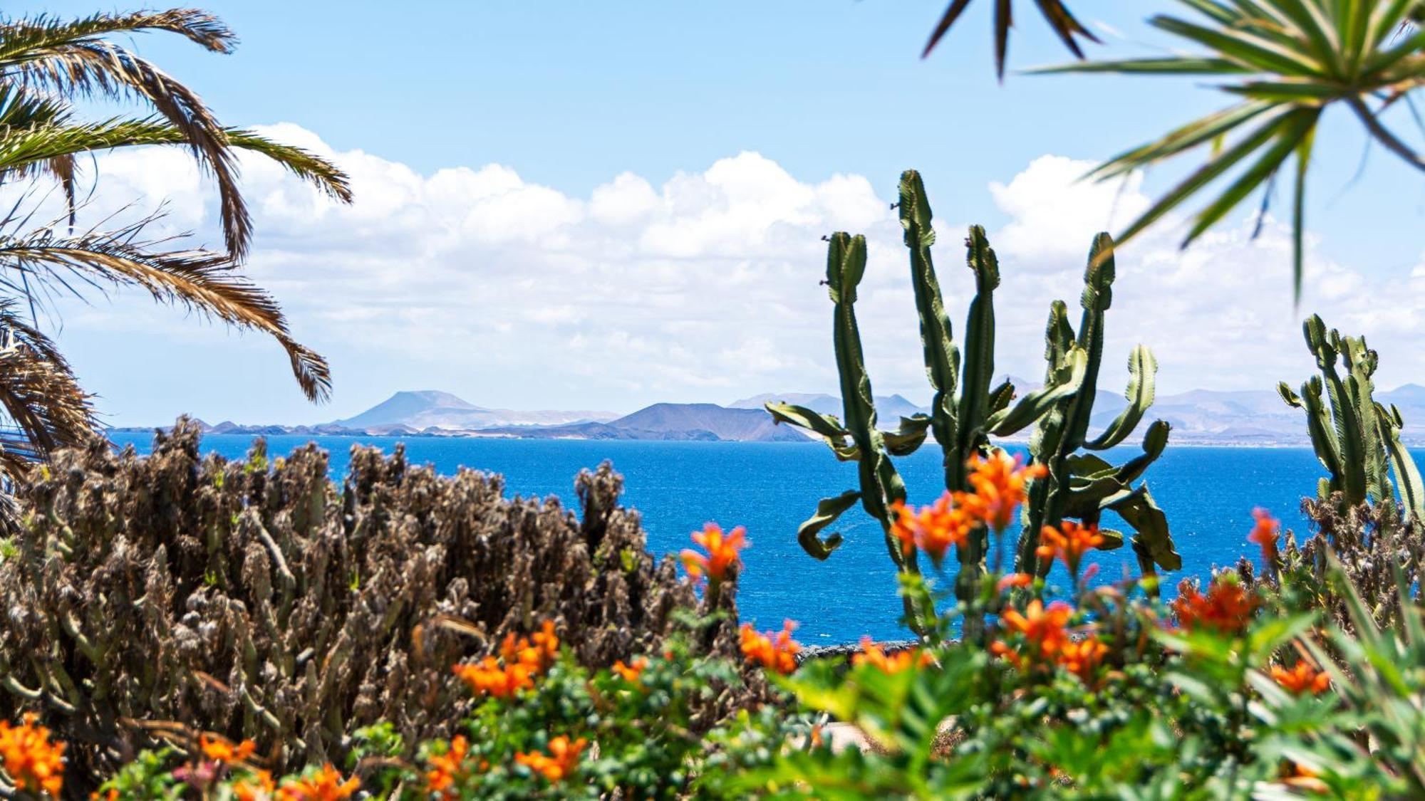 Villa Vista Mar ปลายาบลังกา ภายนอก รูปภาพ